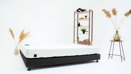 Матрас Materlux ECOLOGIC DREAM MAXI 25